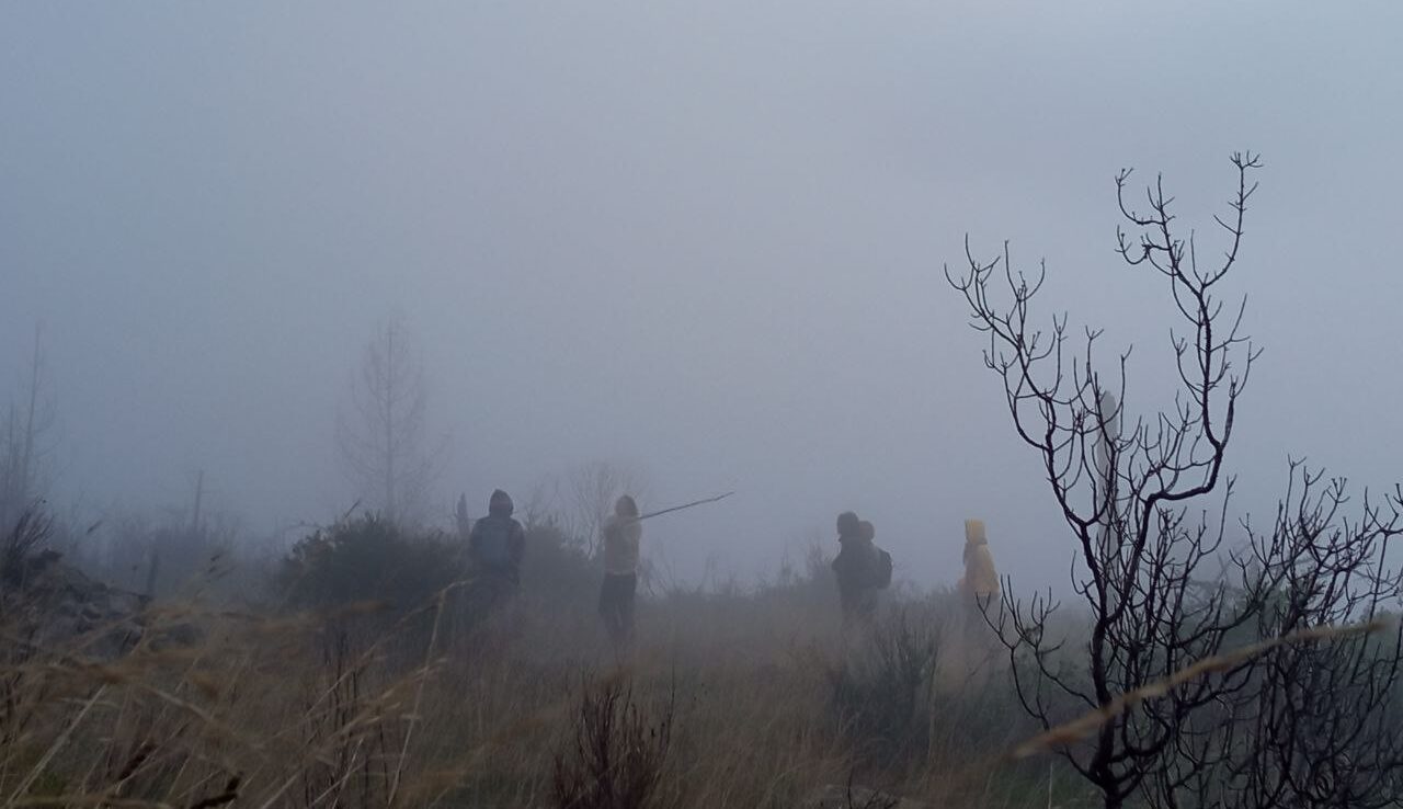 The Nature of Community – A Beings Tale by Anastasia Azadî