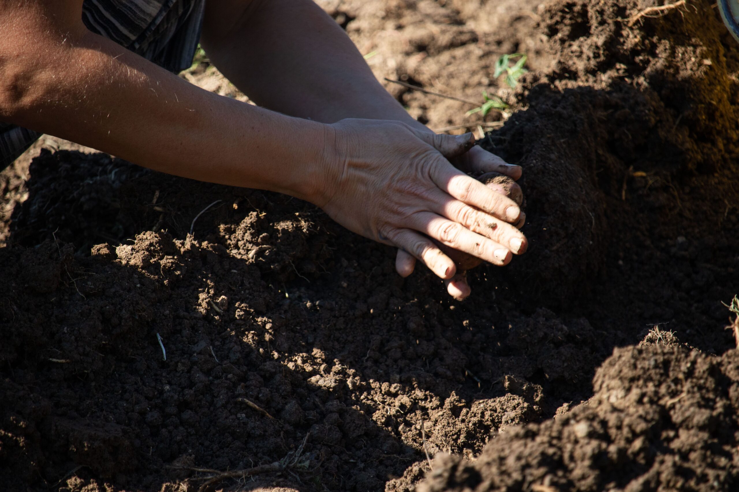 Closer to Nature, Closer to Myself at Farm Veles